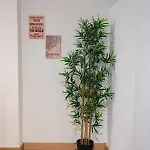 Apartmán La Casina De Leo Y Mia - Centro De 6p - Wifi - Vut-3398-as *