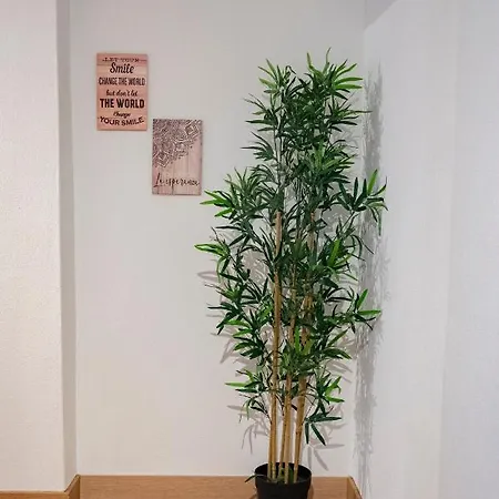 公寓 La Casina De Leo Y Mia - Centro De 6p - Wifi - Vut-3398-as *
